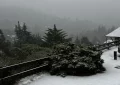 Video: Asi llegaba la nieve al valle de Calamuchita