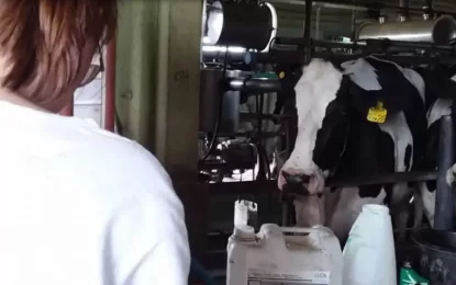 Detectan presencia de un herbicida en la leche de tambos de Villa María
