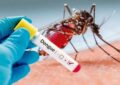 La ANMAT aprobÃ³ el uso de la vacuna del laboratorio Takeda contra el dengue